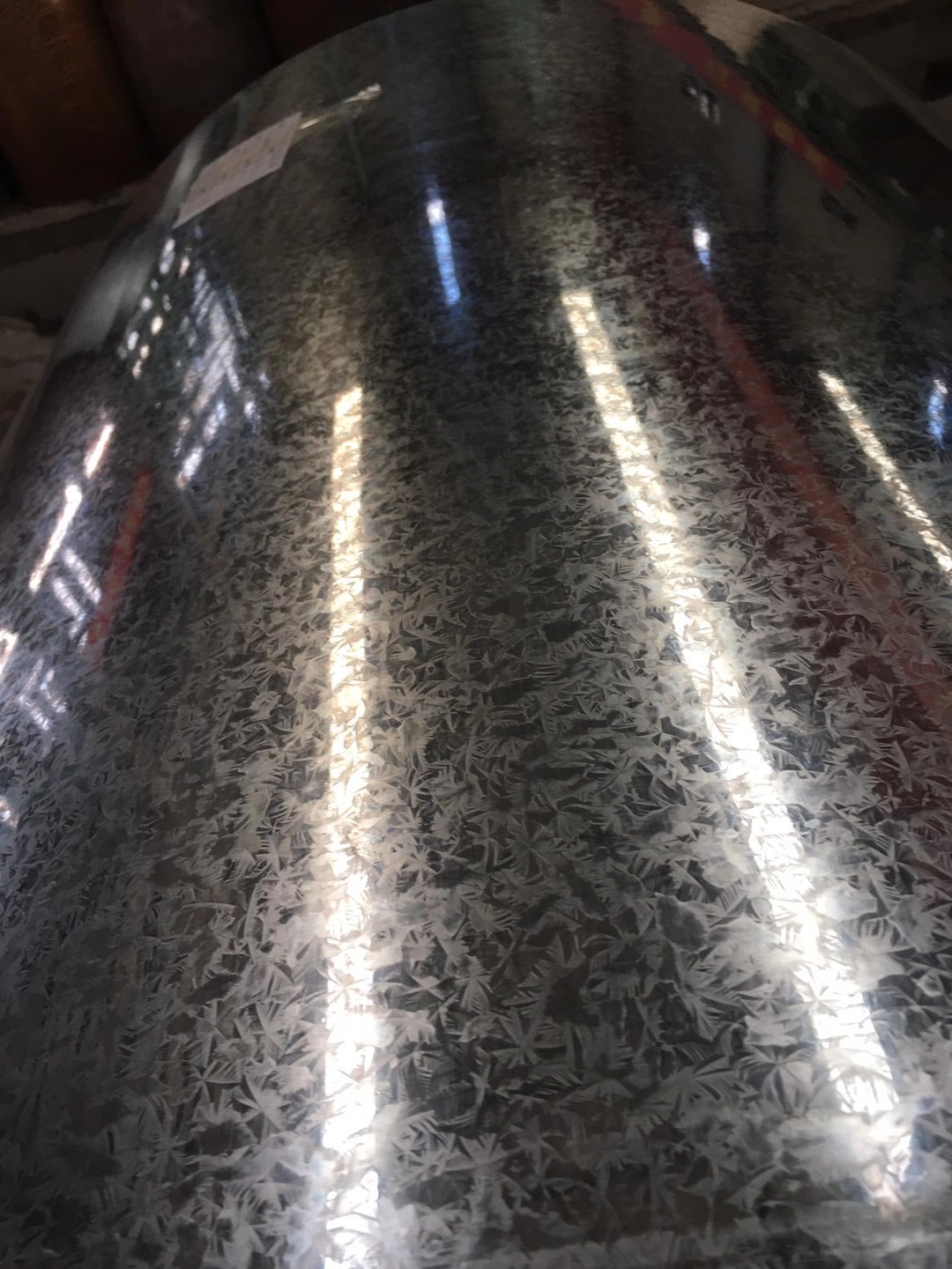 IMG_0617(20201118-142010)